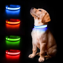 Load image into Gallery viewer, LED Dog Collar (Waterpoof)

