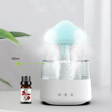 Load image into Gallery viewer, Rain Cloud Air Humidifier
