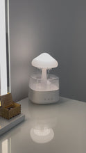 Load and play video in Gallery viewer, Rain Cloud Air Humidifier
