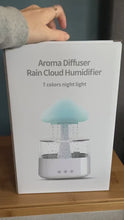 Load and play video in Gallery viewer, Rain Cloud Air Humidifier
