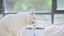 Load and play video in Gallery viewer, Automatic Pet Water Fountain with LED Lighting
