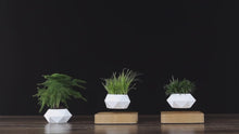 Load and play video in Gallery viewer, Levitating Flower Pot with Self-Rotation
